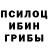 Галлюциногенные грибы Cubensis Madina Fayzieva