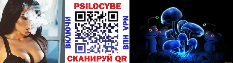 Псилоцибиновые грибы мицелий  Чехов 